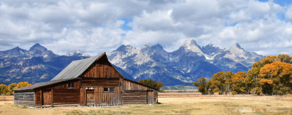 Mormon Row Autumn