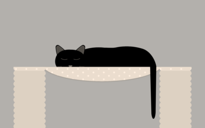 Sleepy Cat Animation
