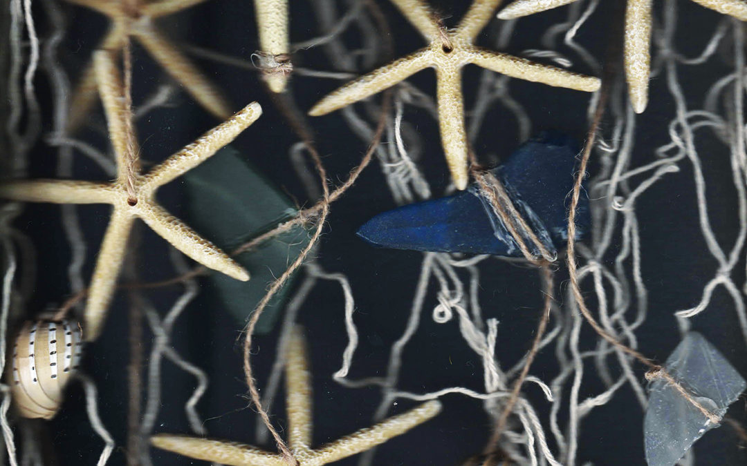 Underwater Sea Stars Scanography