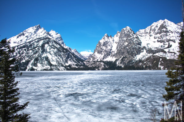 Meghan Nelson Jennys Lake Grand Teton Landscape Nature FAPOS