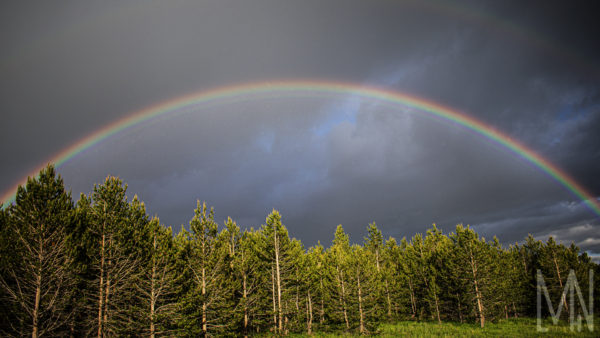 Meghan Nelson Yellowstone Rainbow Cropped Personal Style Project