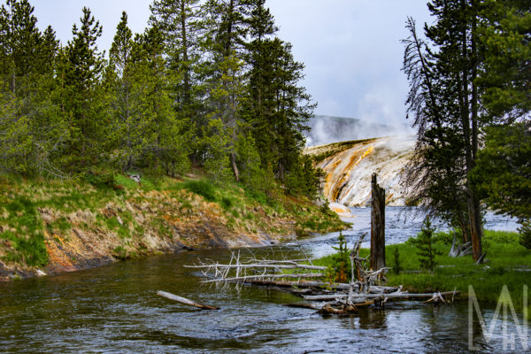 Meghan Nelson Yellowstone River Bend Stream Personal Style Project