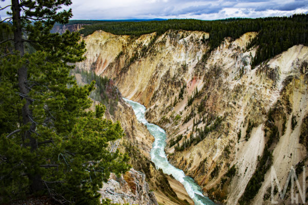Meghan Nelson Yellowstone Canyon River Out