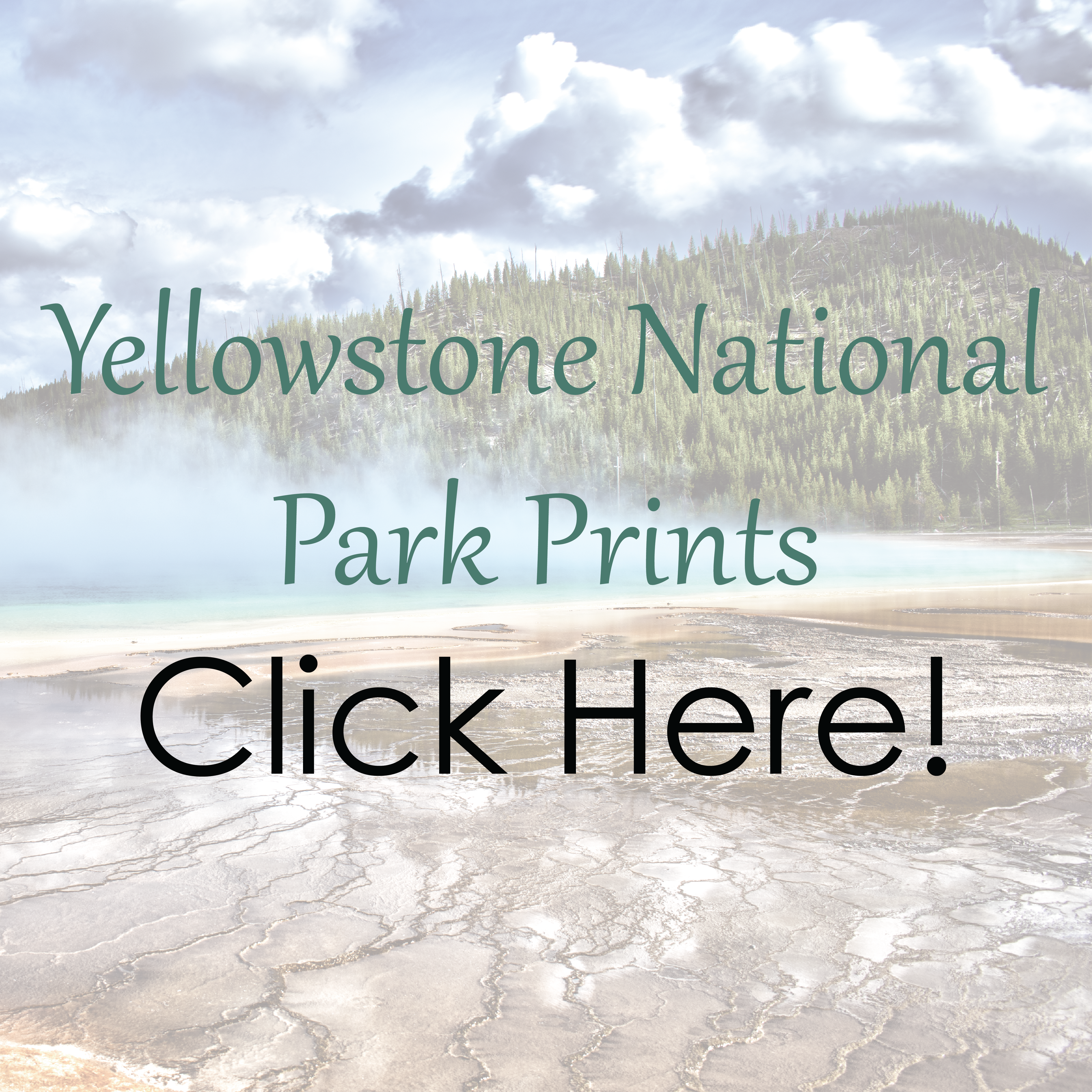 Yellowstone Prints
