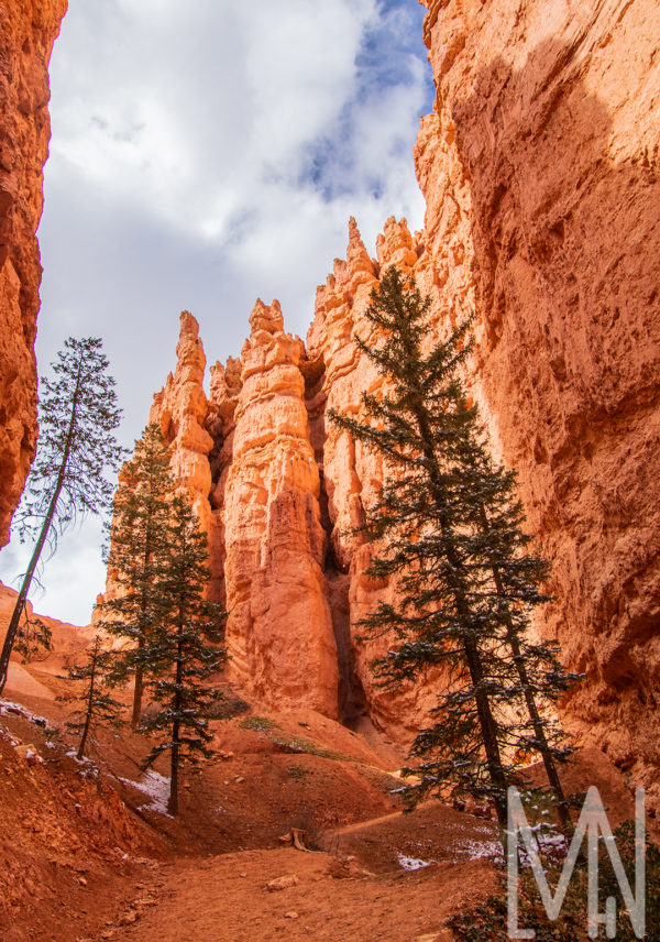 16X24 American Southwest National Parks Prints - Image 10