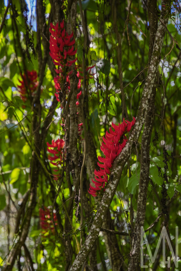 12X18 Oahu, Hawaii Prints - Image 14