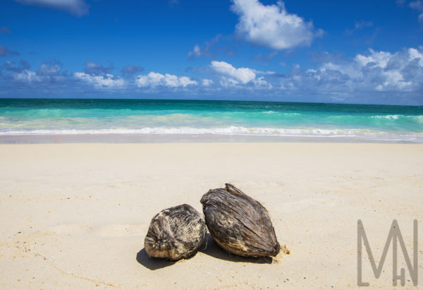 12X18 Oahu, Hawaii Prints - Image 12