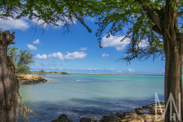 12X18 Oahu, Hawaii Prints - Image 11