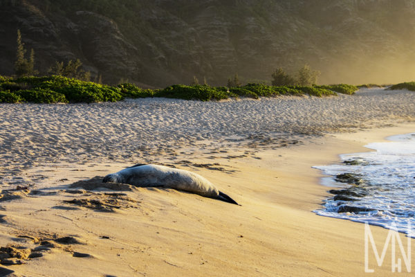 12X18 Oahu, Hawaii Prints - Image 3