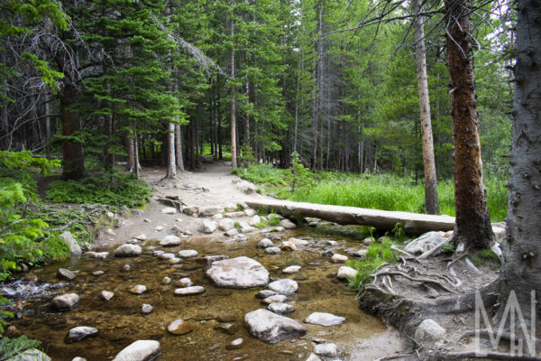 08X12 Rocky Mountain NP Prints - Image 2