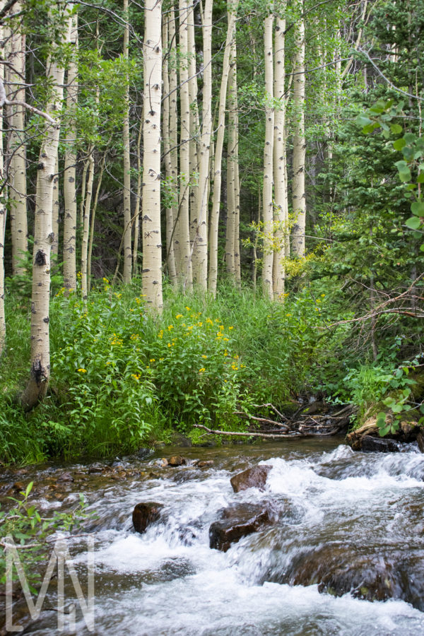08X12 Rocky Mountain NP Prints - Image 3