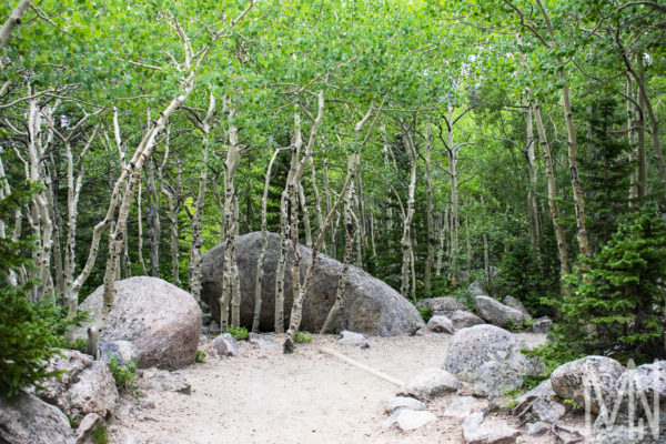 08X12 Rocky Mountain NP Prints - Image 4