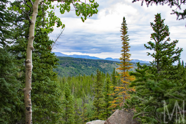 08X12 Rocky Mountain NP Prints - Image 7